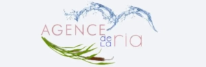 Design sans titre - 3